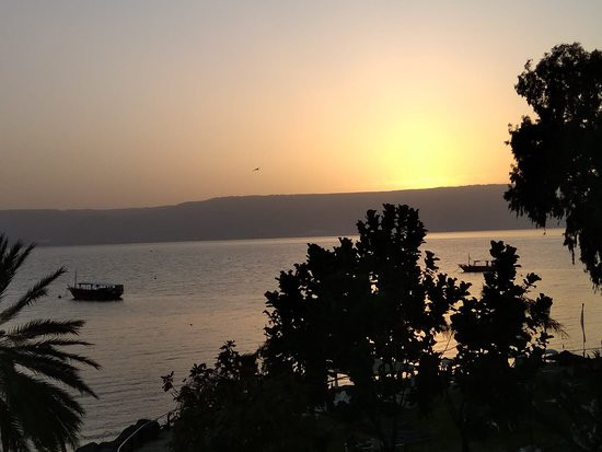 里蒙加雷基内瑞斯酒店主图