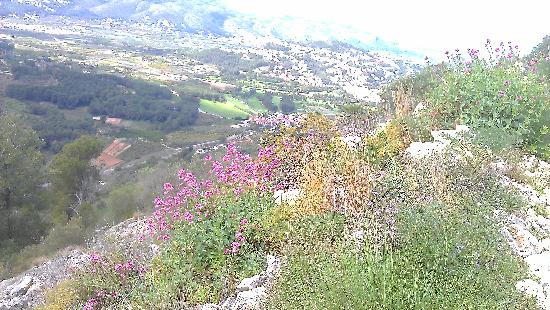Parque Natural del Montgó景点图片