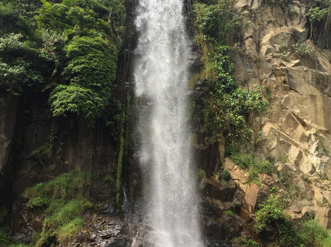 Bidadari Waterfall景点图片