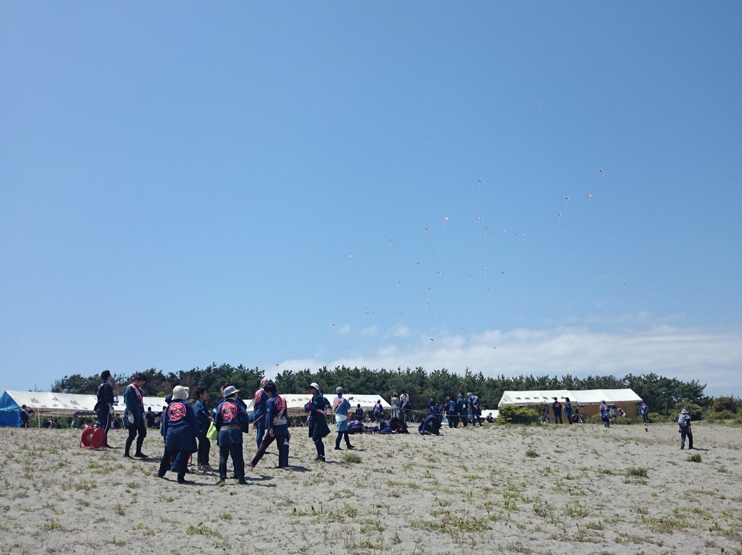 Hamamatsu Festival