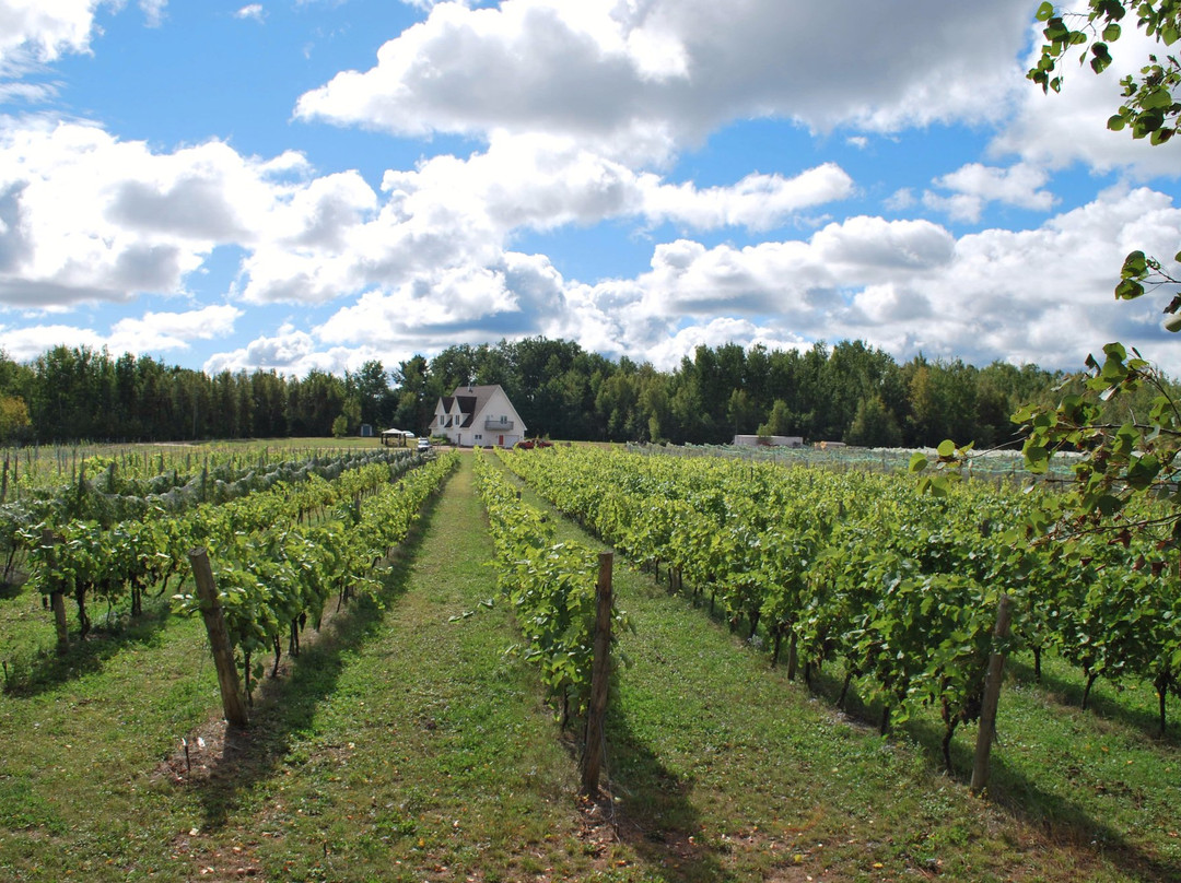Domaine Latitude 46 Estate Winery景点图片