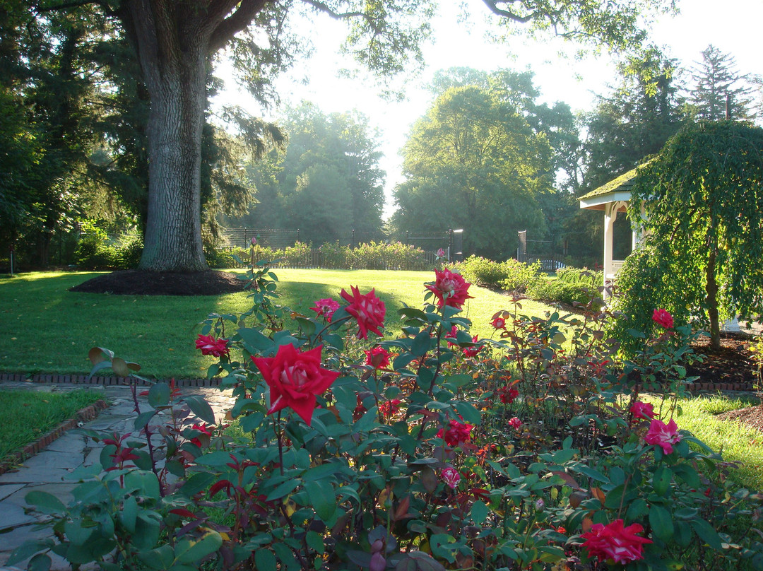 Franklin旅游攻略图片