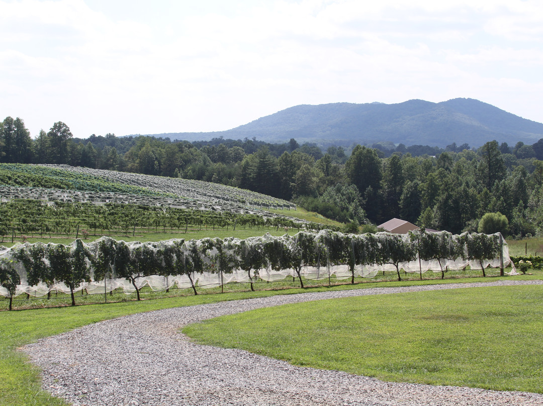 Round Peak Vineyard-Mount Airy必去景点