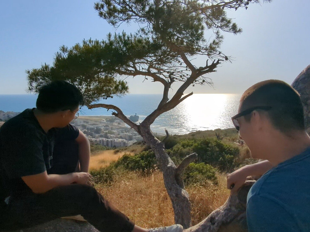 Olive Trail Travel-特拉维夫必去景点