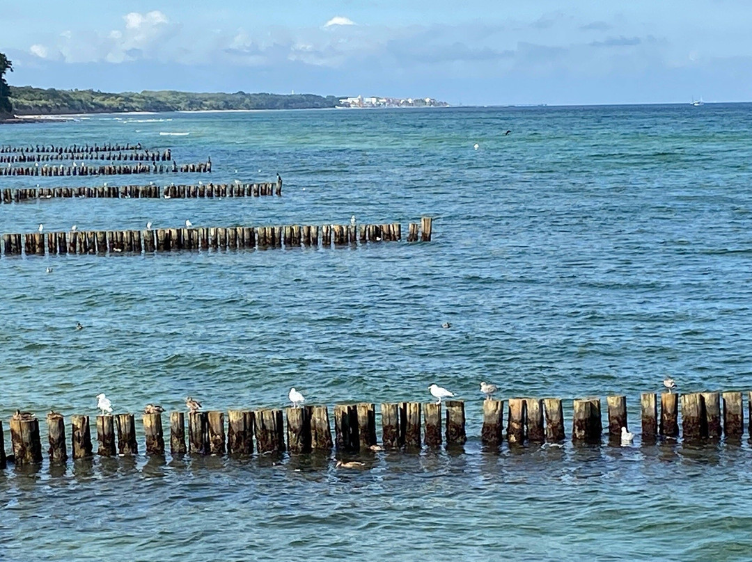 Ostseebad Heiligendamm旅游攻略图片