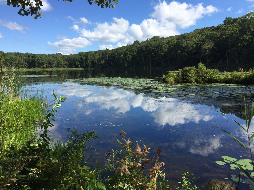 Egbert's Lake Park景点图片