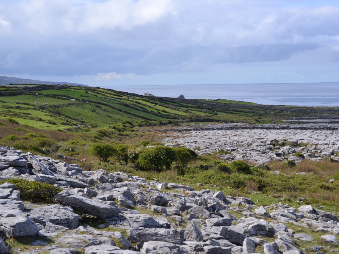 The Burren旅游攻略图片