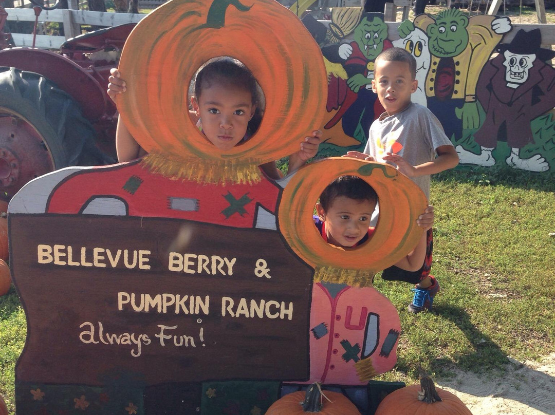 Bellevue Berry and Pumpkin Ranch景点图片