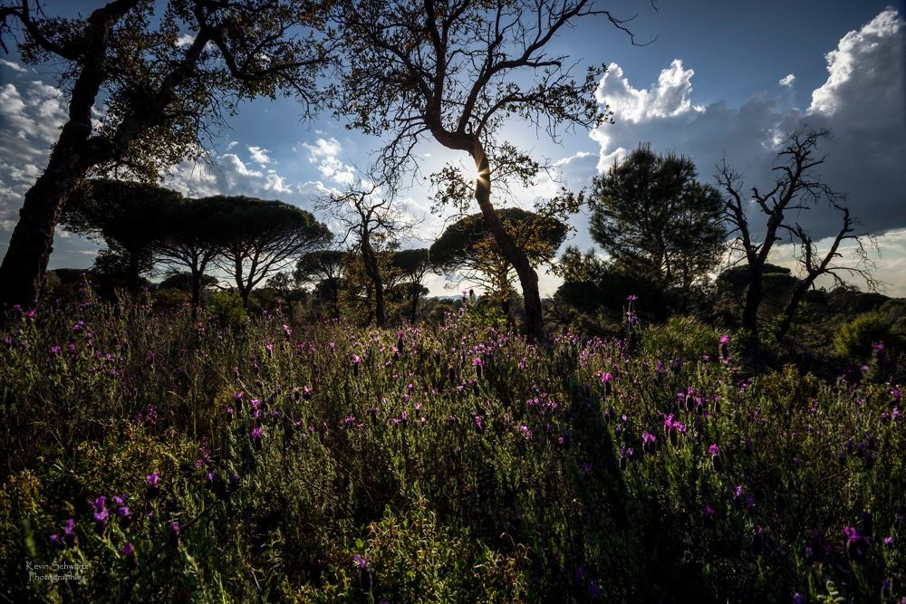 La Garde-Freinet旅游景点-Réserve Naturelle Nationale de la Plaine des Maures