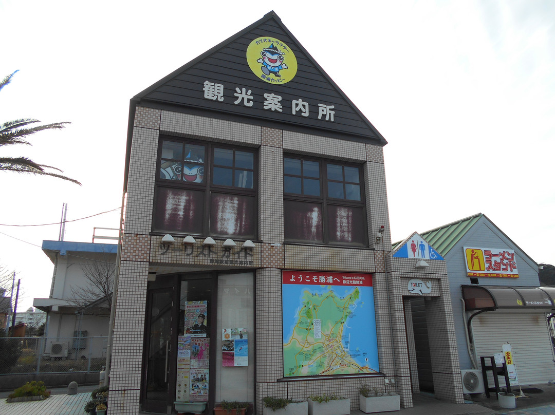 Katsuura Ekimae Tourist Information Center景点图片