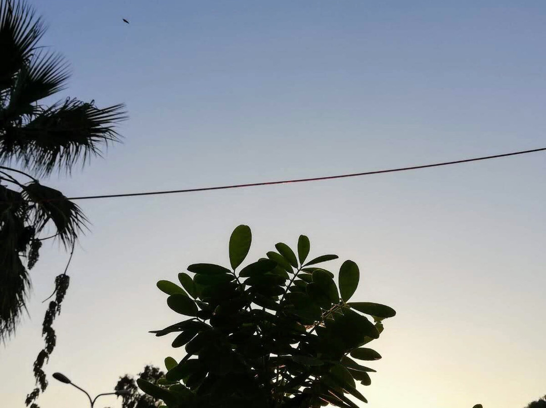 Baghdadi Museum-Baghdad必去景点