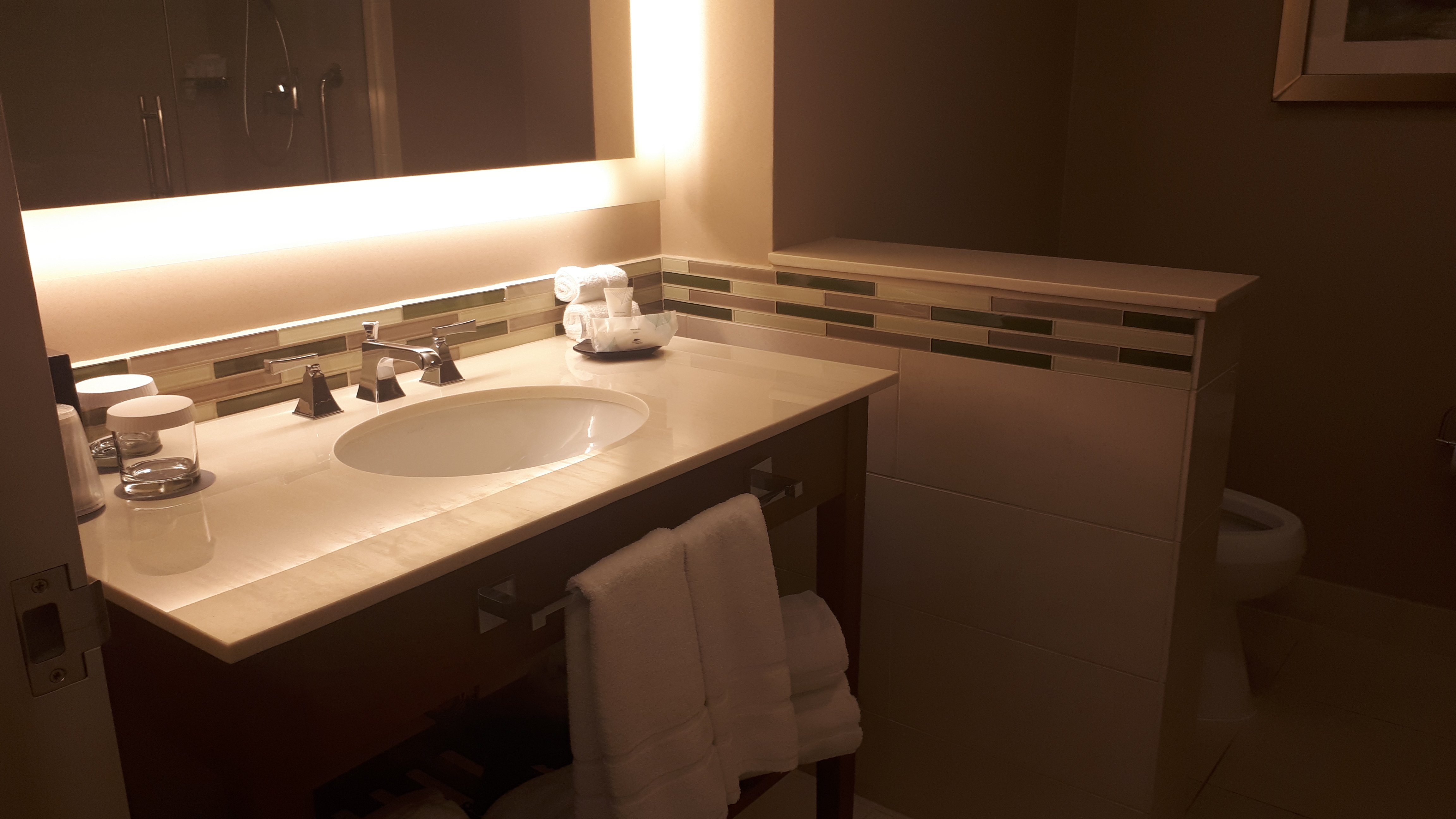 The Westin Washington Dulles Airport-浴室