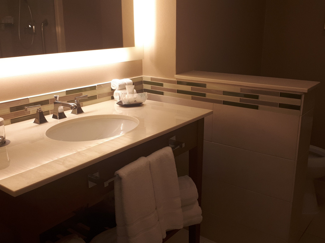 The Westin Washington Dulles Airport主图