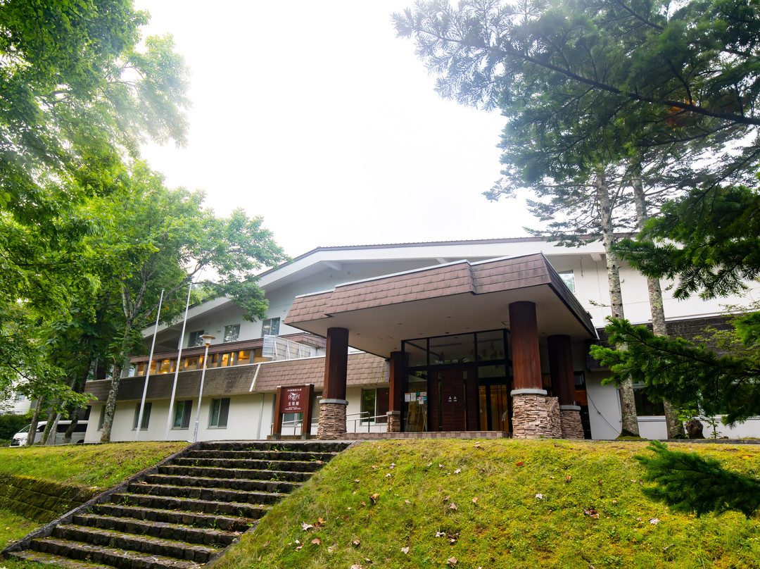 千岁市酒店住宿-休暇村支笏湖