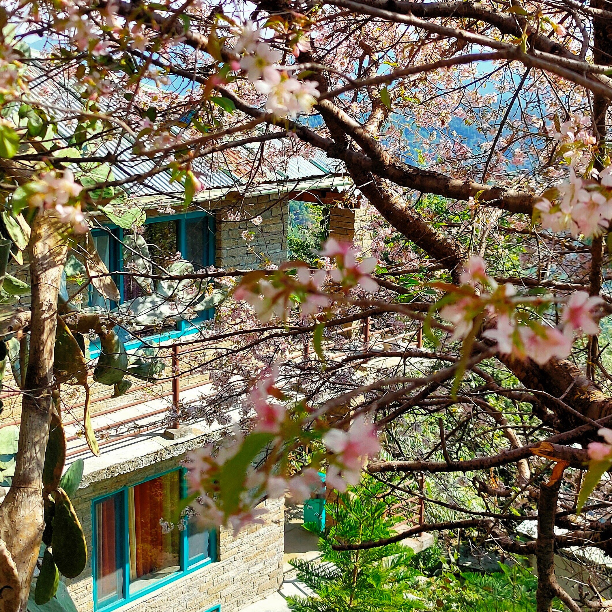 Mohan's Binsar Retreat-浴室