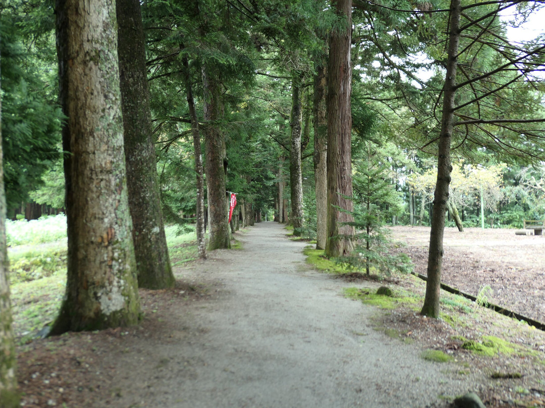 Ryusenji Temple-上市町必去景点