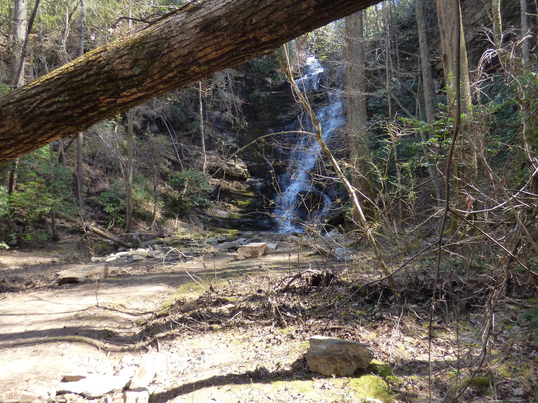 Reedy Branch Falls景点图片