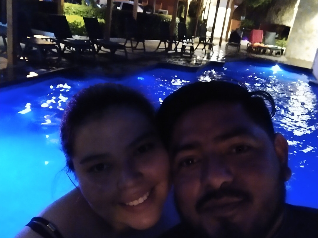 Maya Tulipanes Express主图