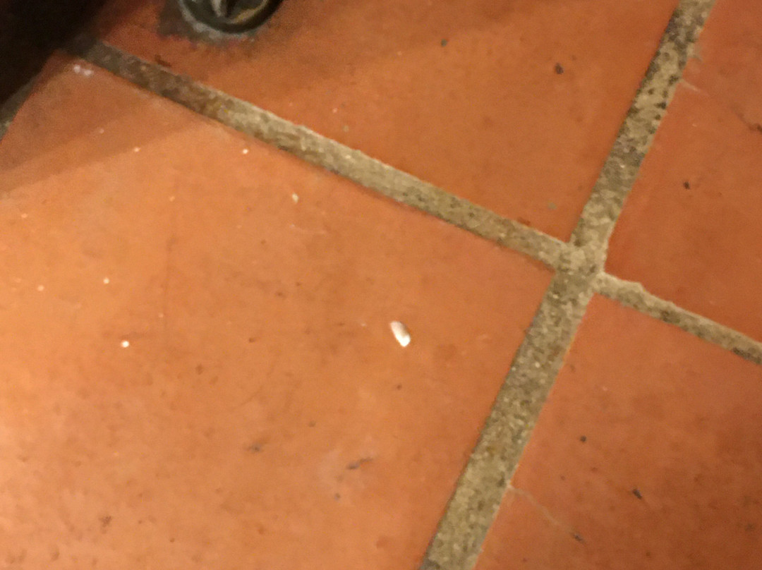 Y.O. Ranch Hotel主图