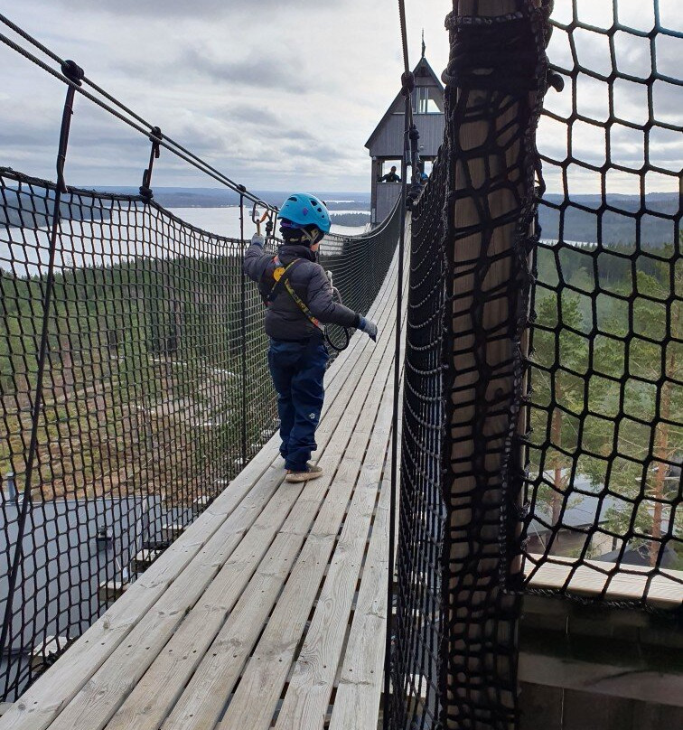 Sweden Zipline景点图片