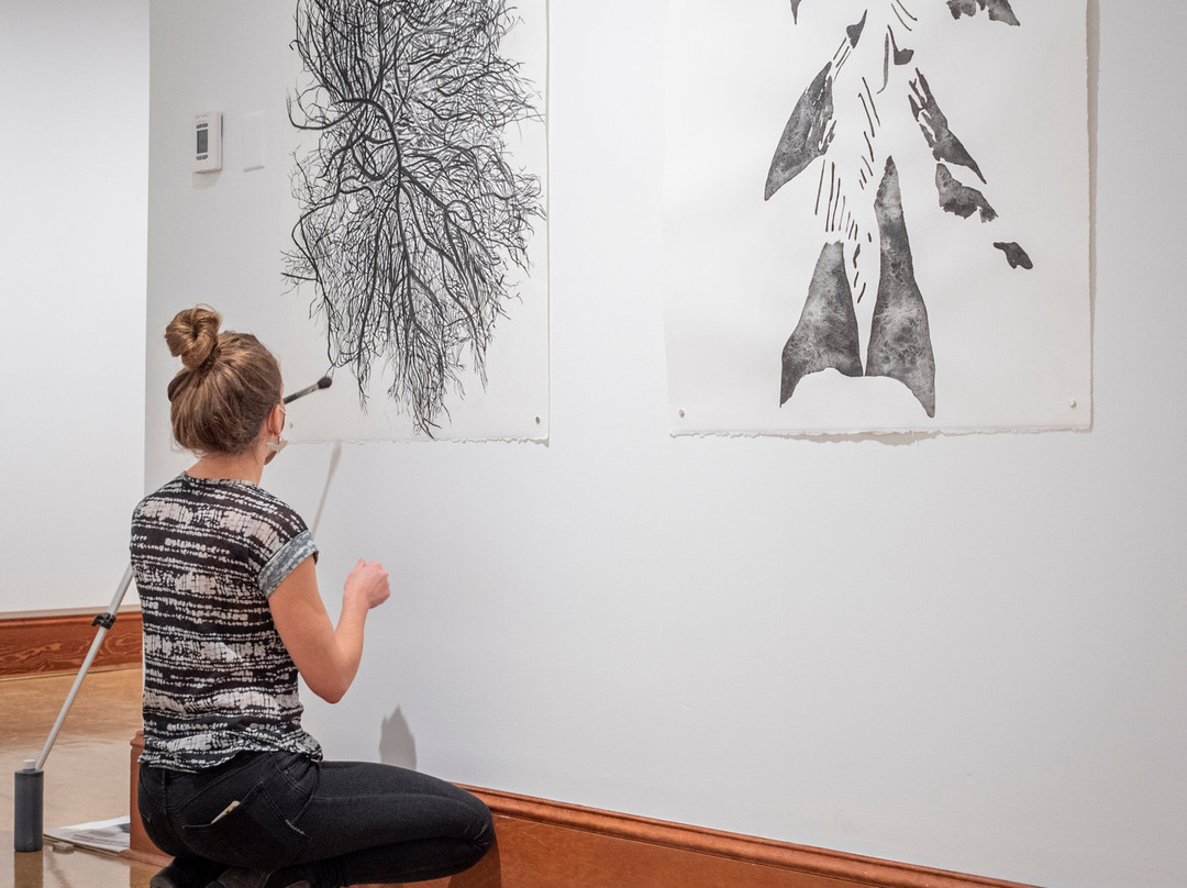 Gallery 2 Grand Forks Art Gallery景点图片