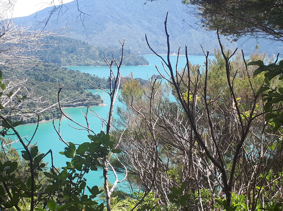 Onahau Point Lookout-Te Mahia必去景点