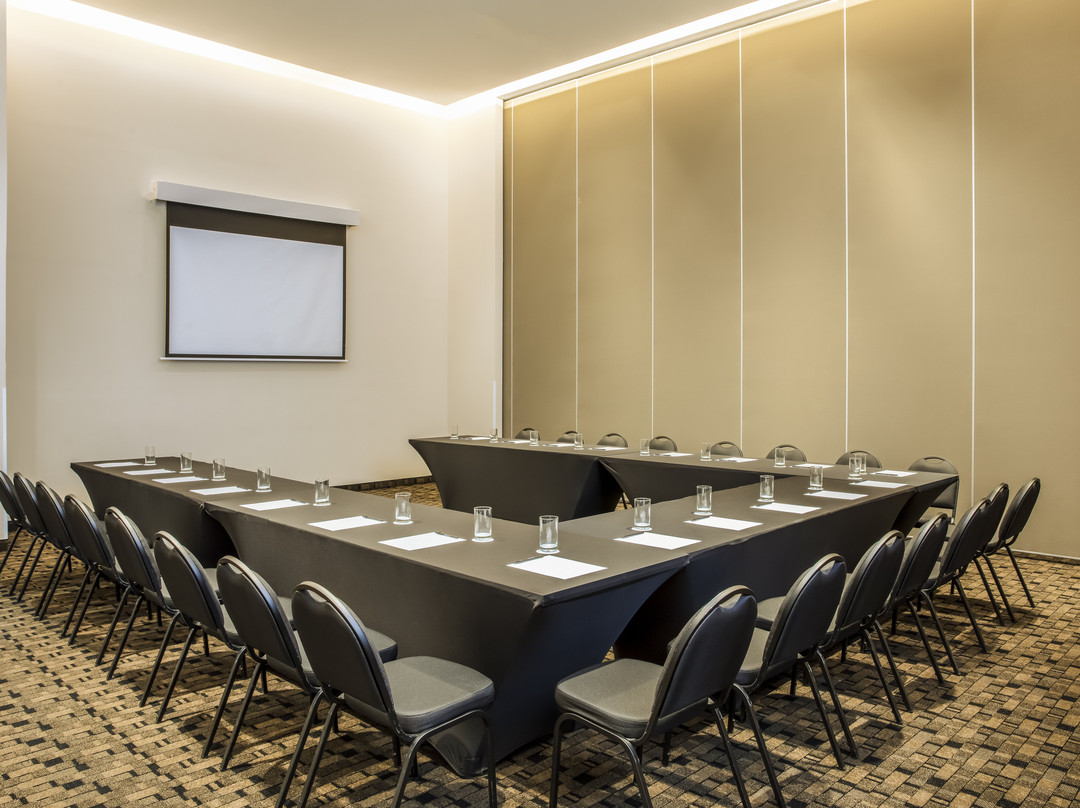 Fiesta Inn Aguascalientes Patio主图