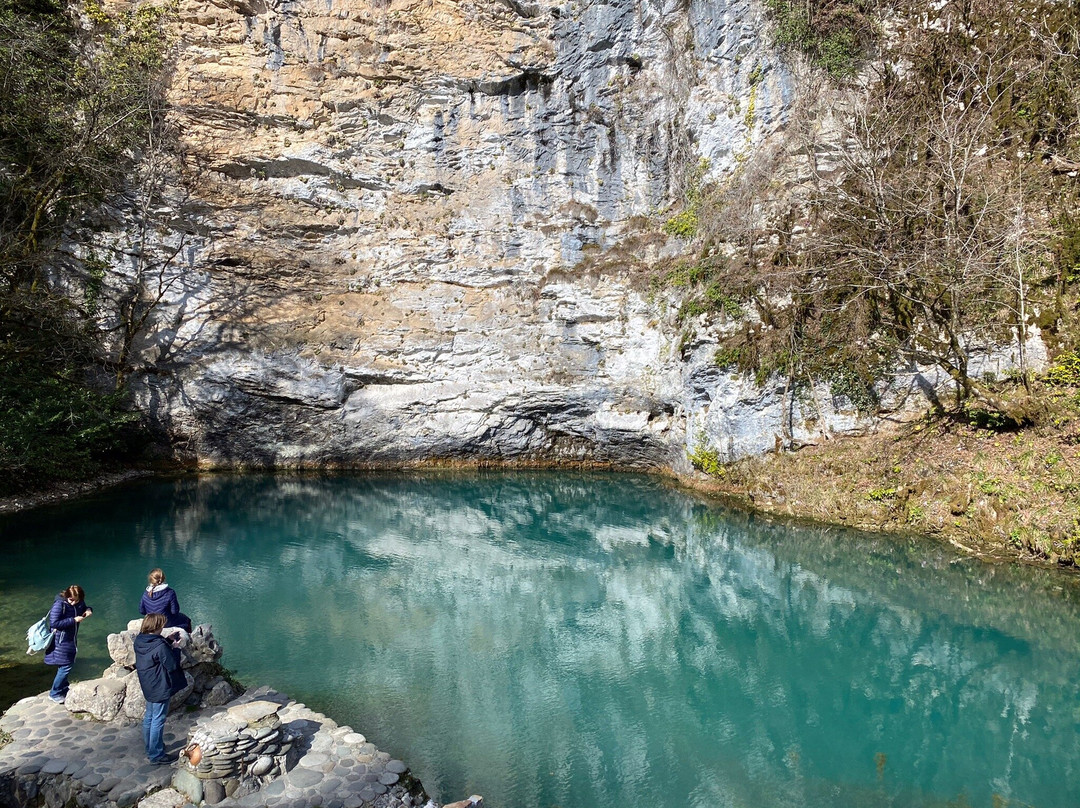 Ritsinskiy Relic National Park景点图片