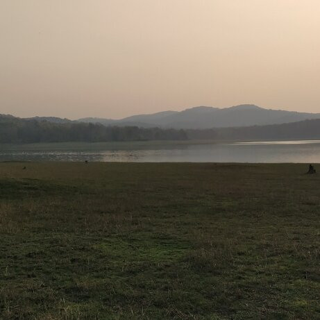 Bhadra Wildlife Sanctuary景点图片