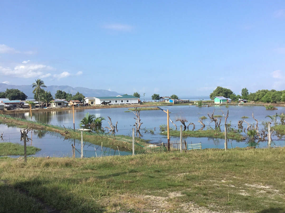 Kalanganan Bai Walk-Cotabato City必去景点