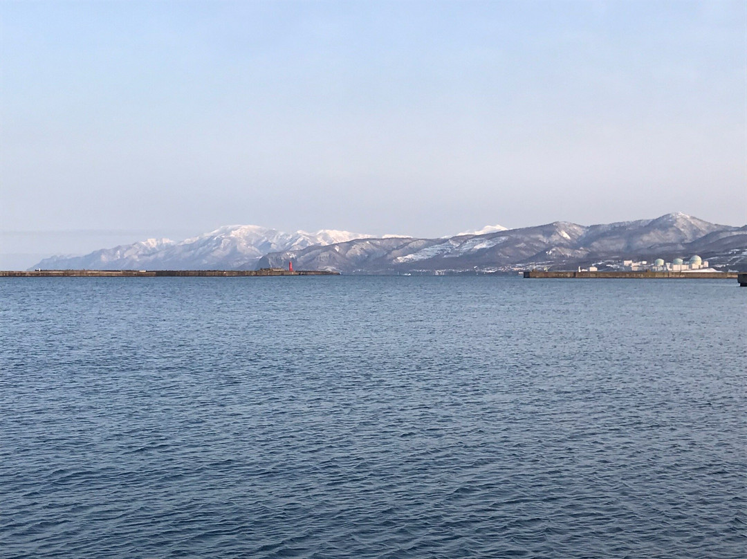 Iwanai Fishing Harbour-岩内町必去景点