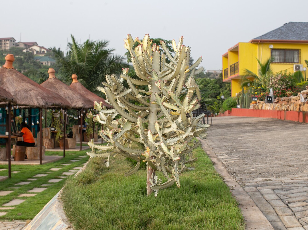 Cactus Creek Ghana Hotel主图