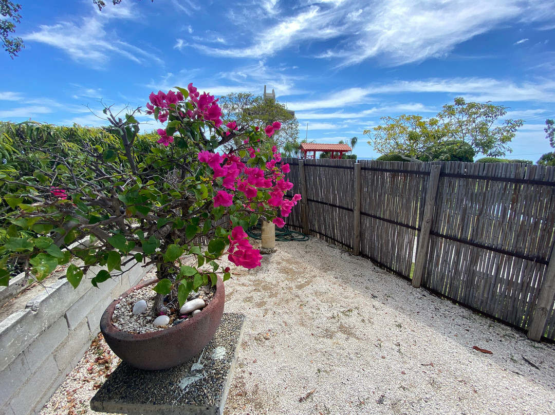 Cruceta Del Vigia-庞塞必去景点