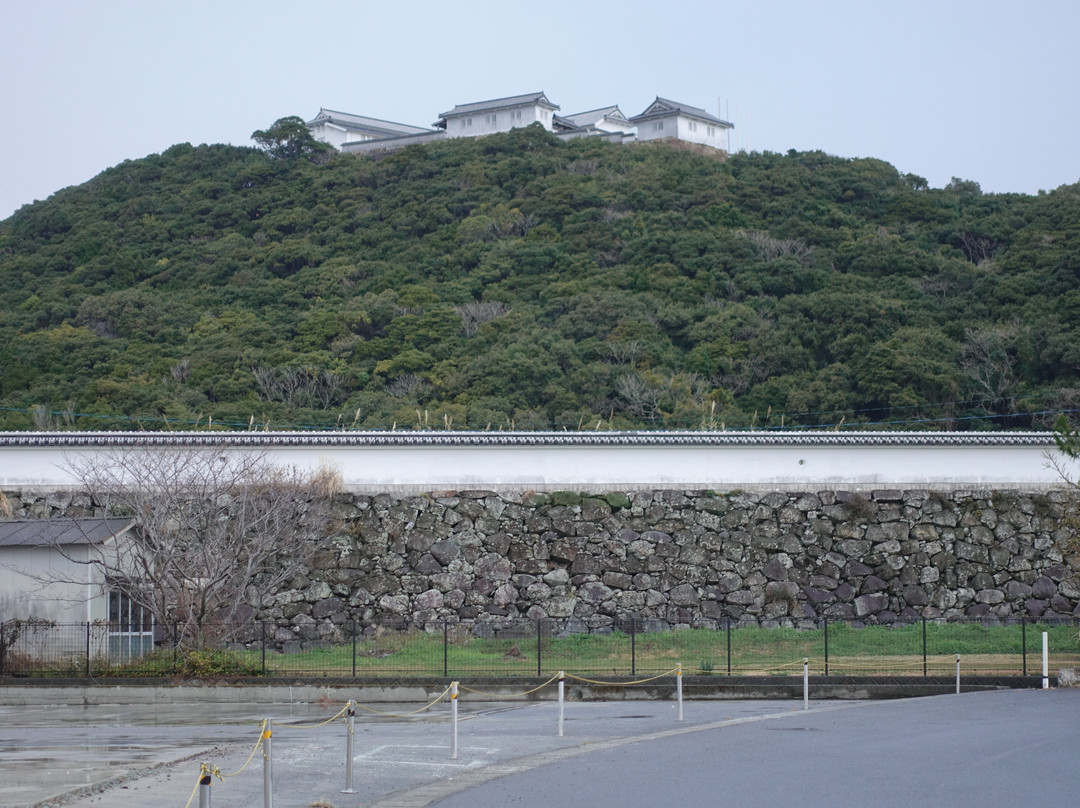 Tomioka Castle景点图片