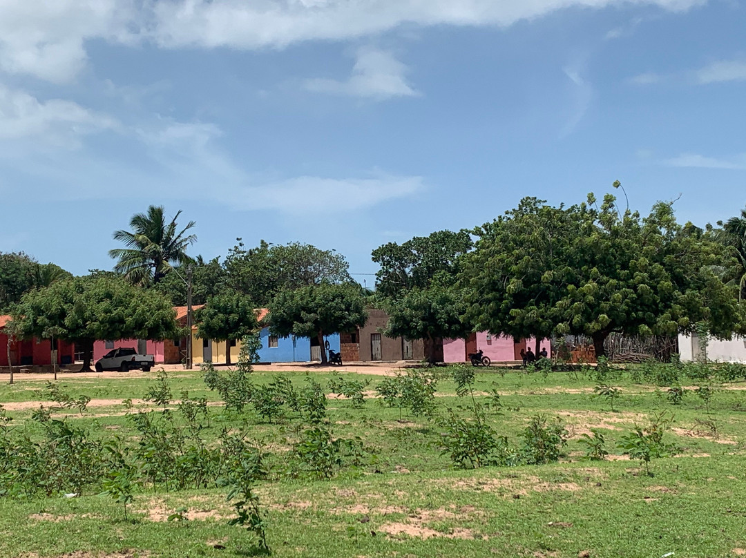 Rastro Nordestino Ecoturismo e Aventura-Parnaiba必去景点