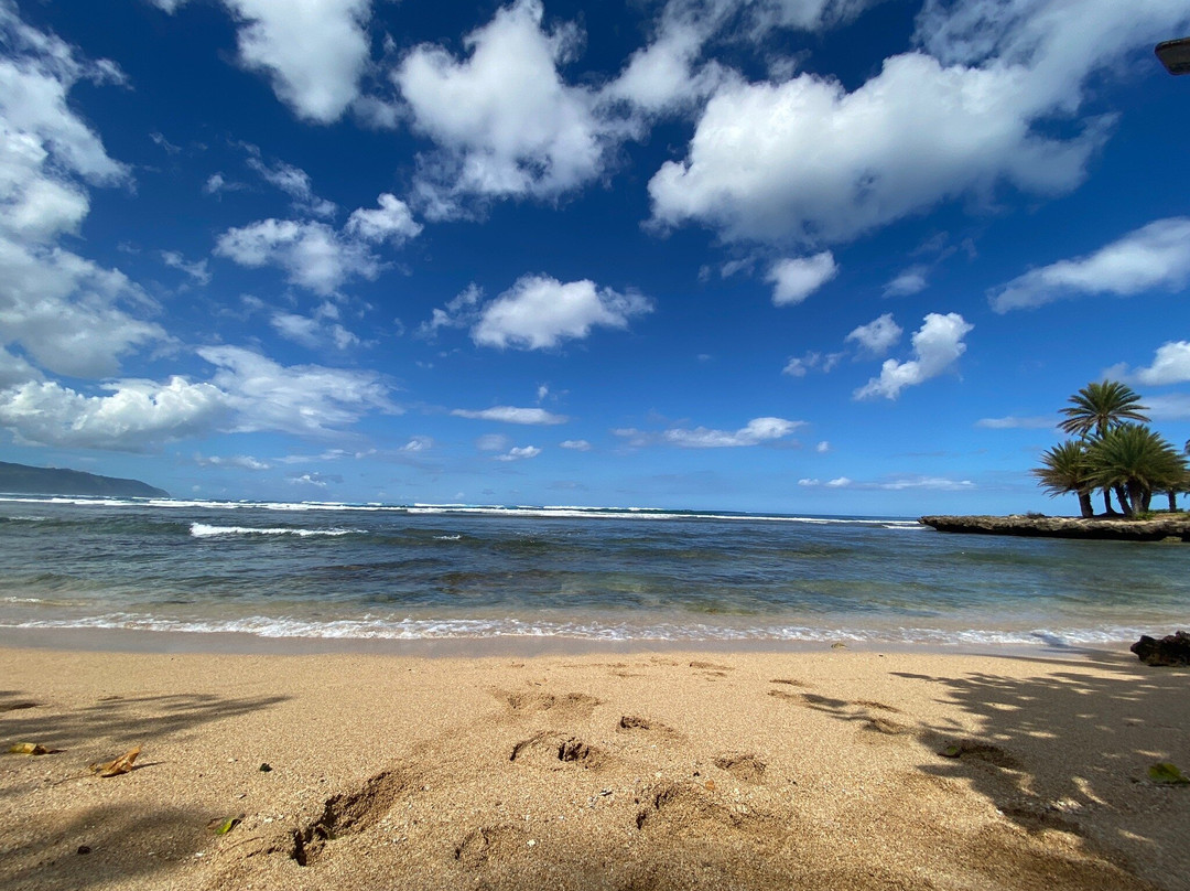 North Shore Beach Boyz-哈雷瓦必去景点