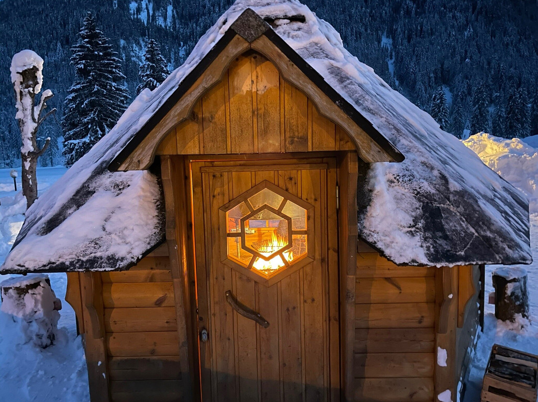 Hotel Stella Alpina主图