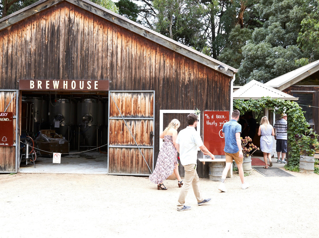 Victorian Bus Charters-墨尔本必去景点