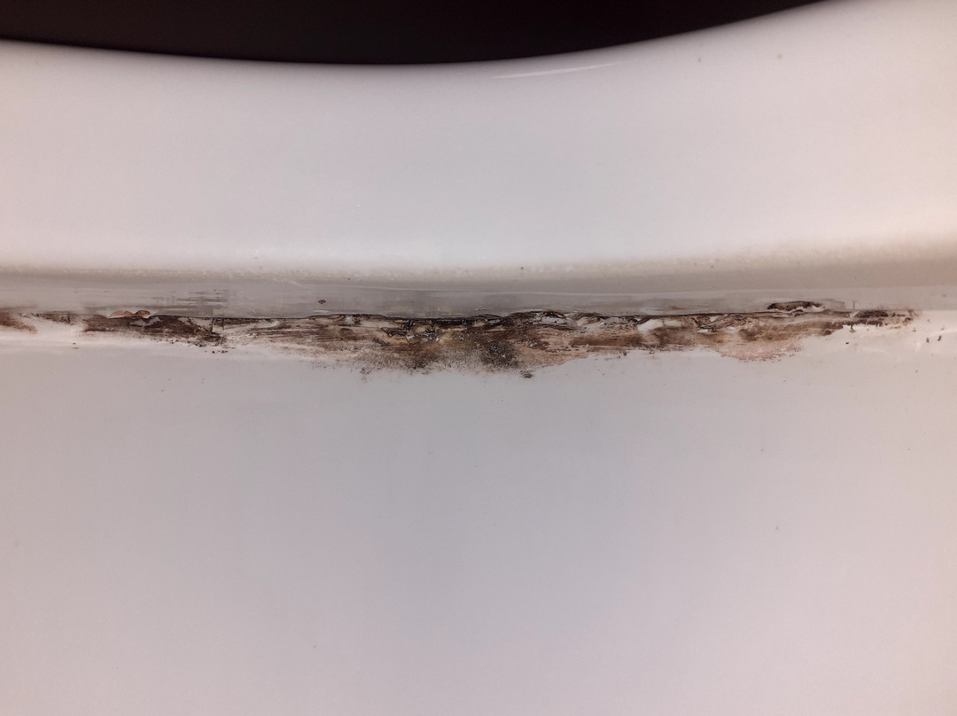 Baymont by Wyndham Texarkana主图