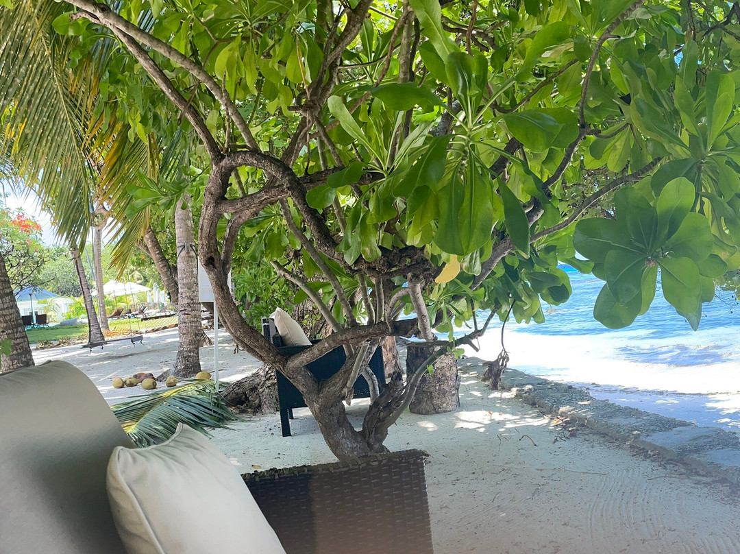 Lodger Guest House主图