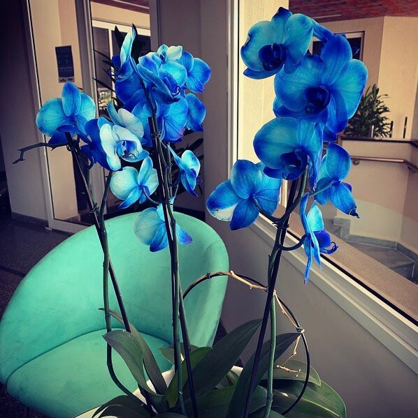 Hotel Riviera Aracatuba主图