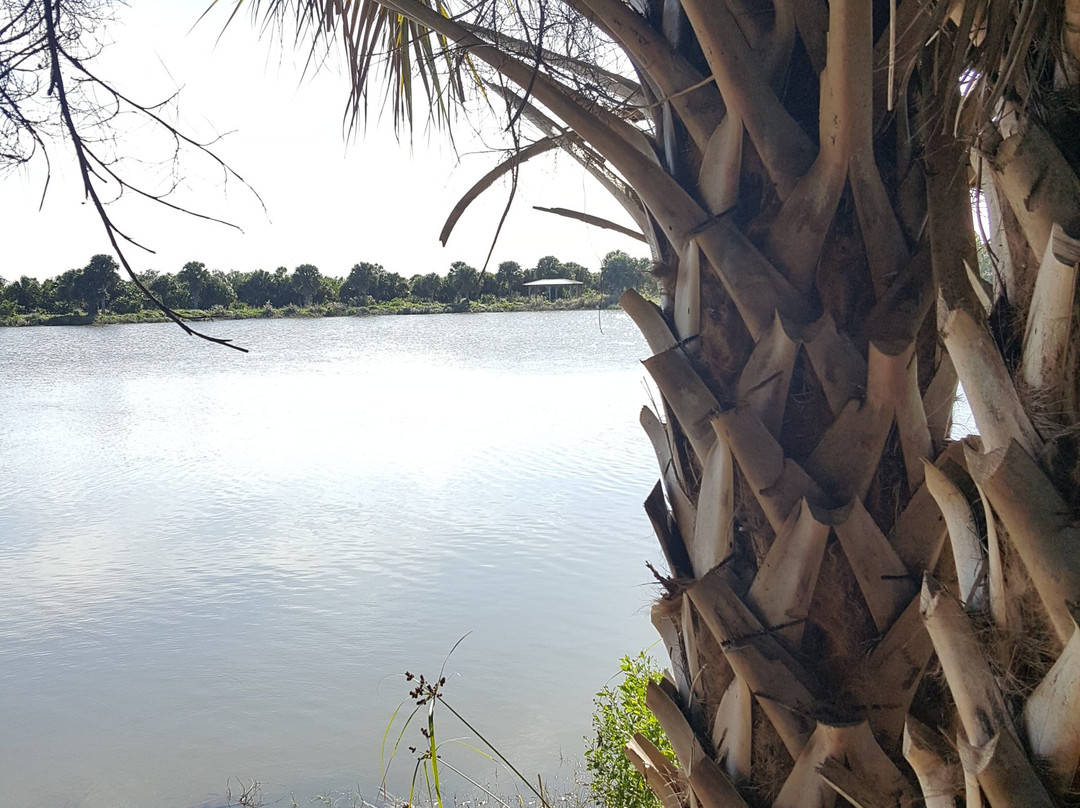 Pelican Island National Wildlife Refuge-维罗海滩必去景点