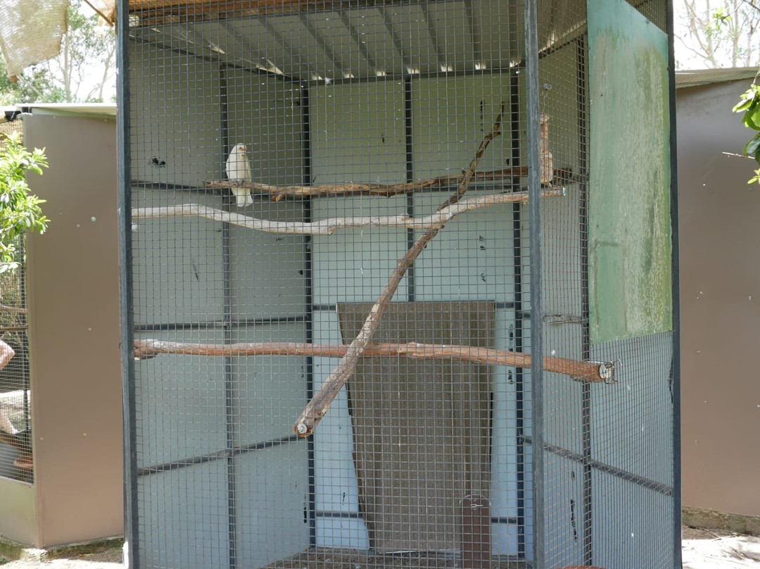 Fraser Coast Wildlife Sanctuary-Maryborough必去景点