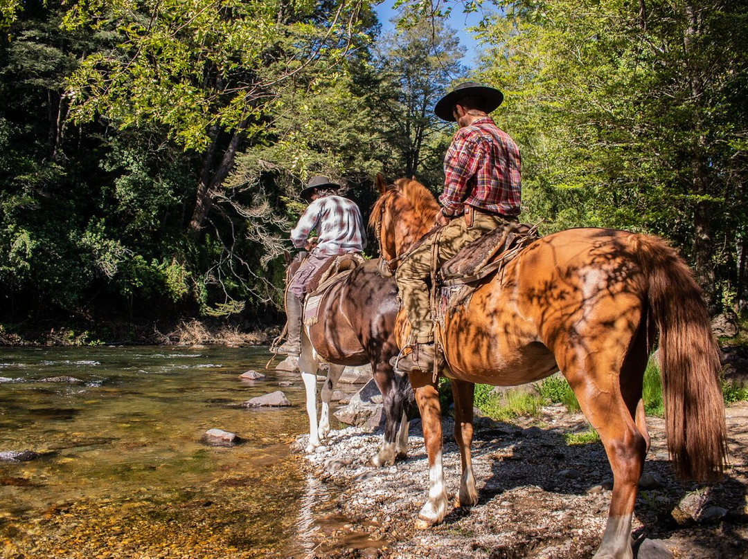 La Tobiana-普孔必去景点