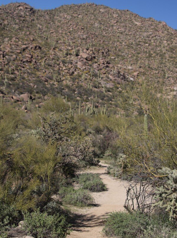 Wild Burro Trail-马拉纳必去景点