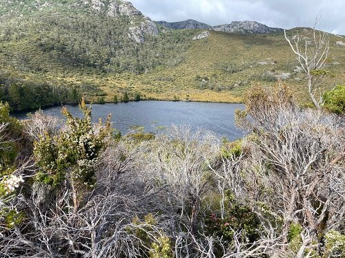 Lake Lilla Track景点图片