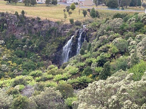 Waratah Falls-Waratah必去景点