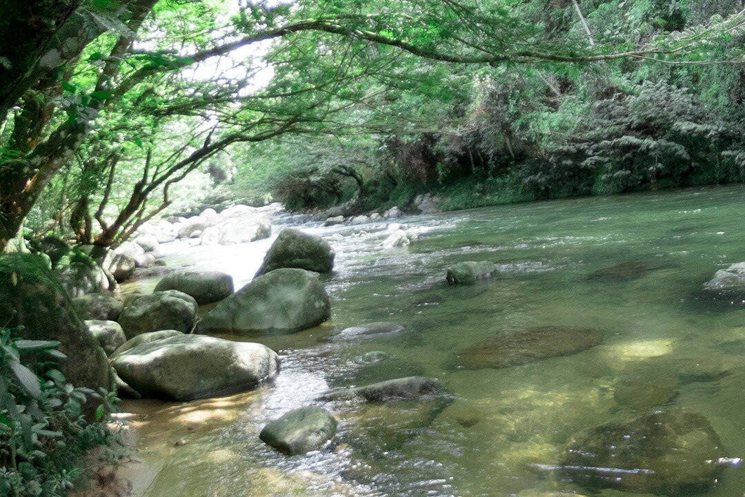Tour San Rafael景点图片