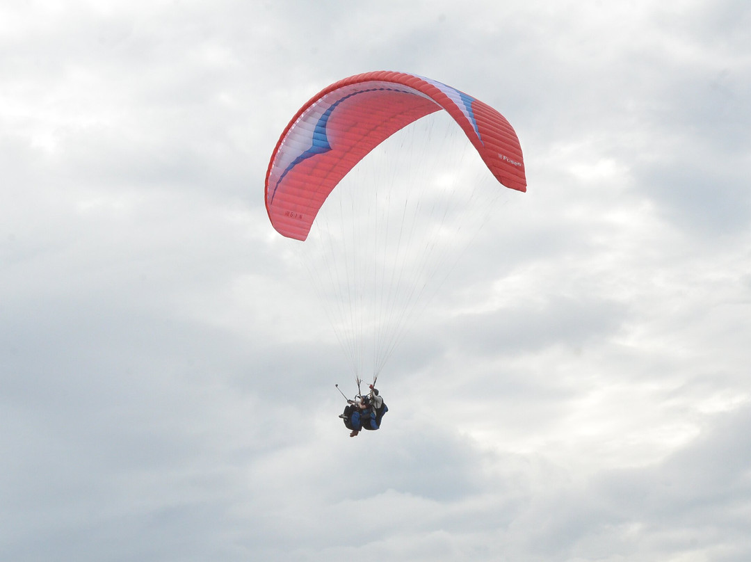 High 5 Paragliding-Carmona必去景点