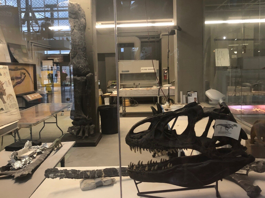 Science City at Union Station-堪萨斯城必去景点